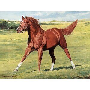 Secretariat Kentucky Derby Racehorse Lithograph Art Artist Signed Triple Crown